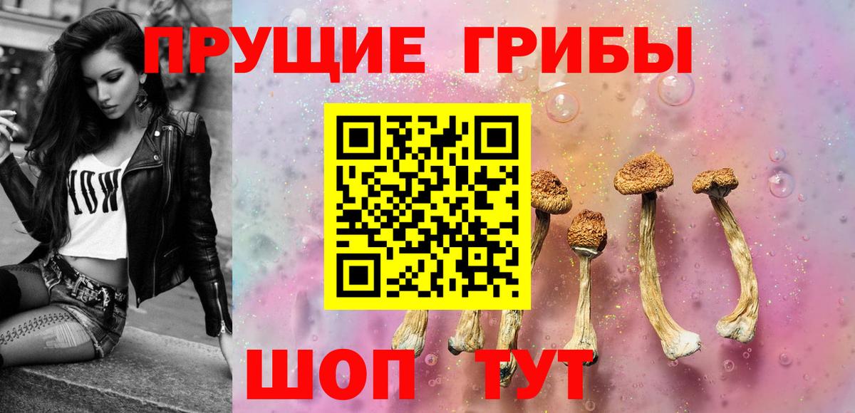 Псилоцибиновые грибы Cubensis  Псилоцибиновые грибы Psilocybine cubensis  продажа наркотиков  Вход с VPN  Арсеньев 